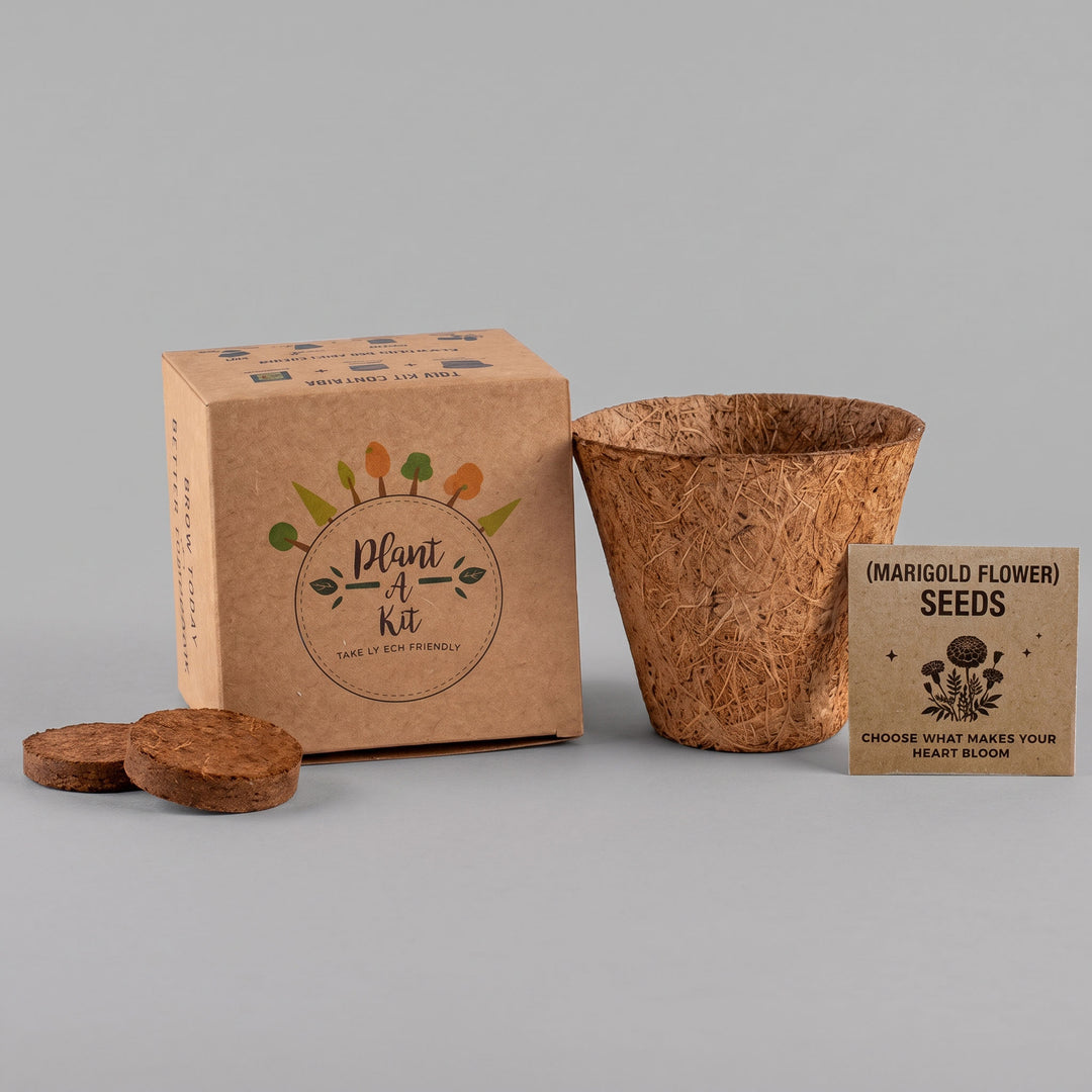 Executive imported eco-friendly plant grow kit with marigold seeds priced at Ksh 700 in Nairobi   