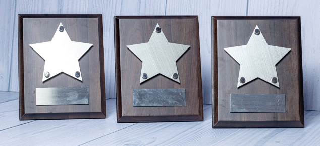 Custom laser-engraved dark mahogany wood plaque award with brushed silver sheriff star shield emblem by Print365 Kenya